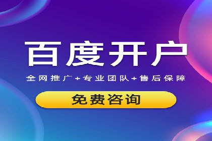 电商平台SEM推广的全过程解析